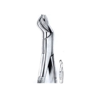  Extracting Forceps American Pattern